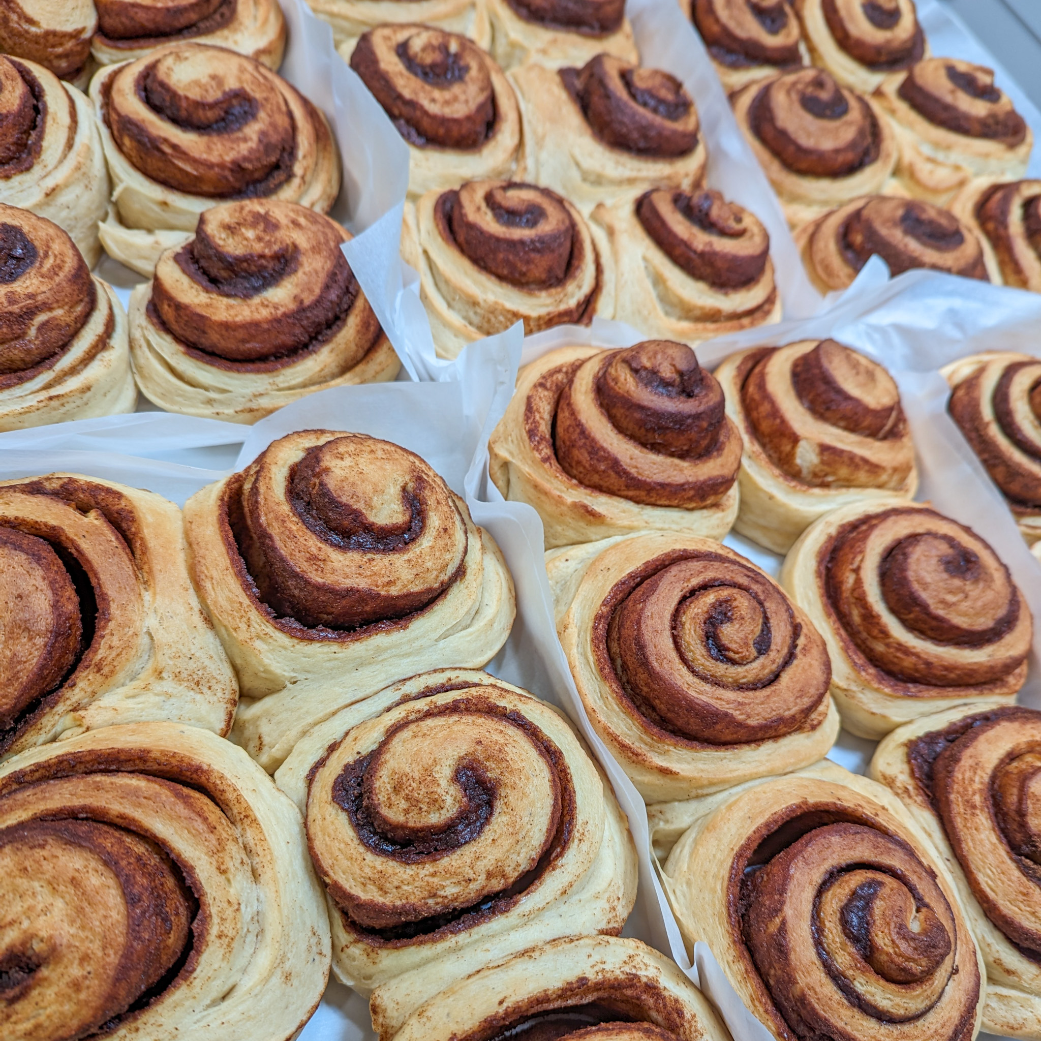 Cinnamon Rolls