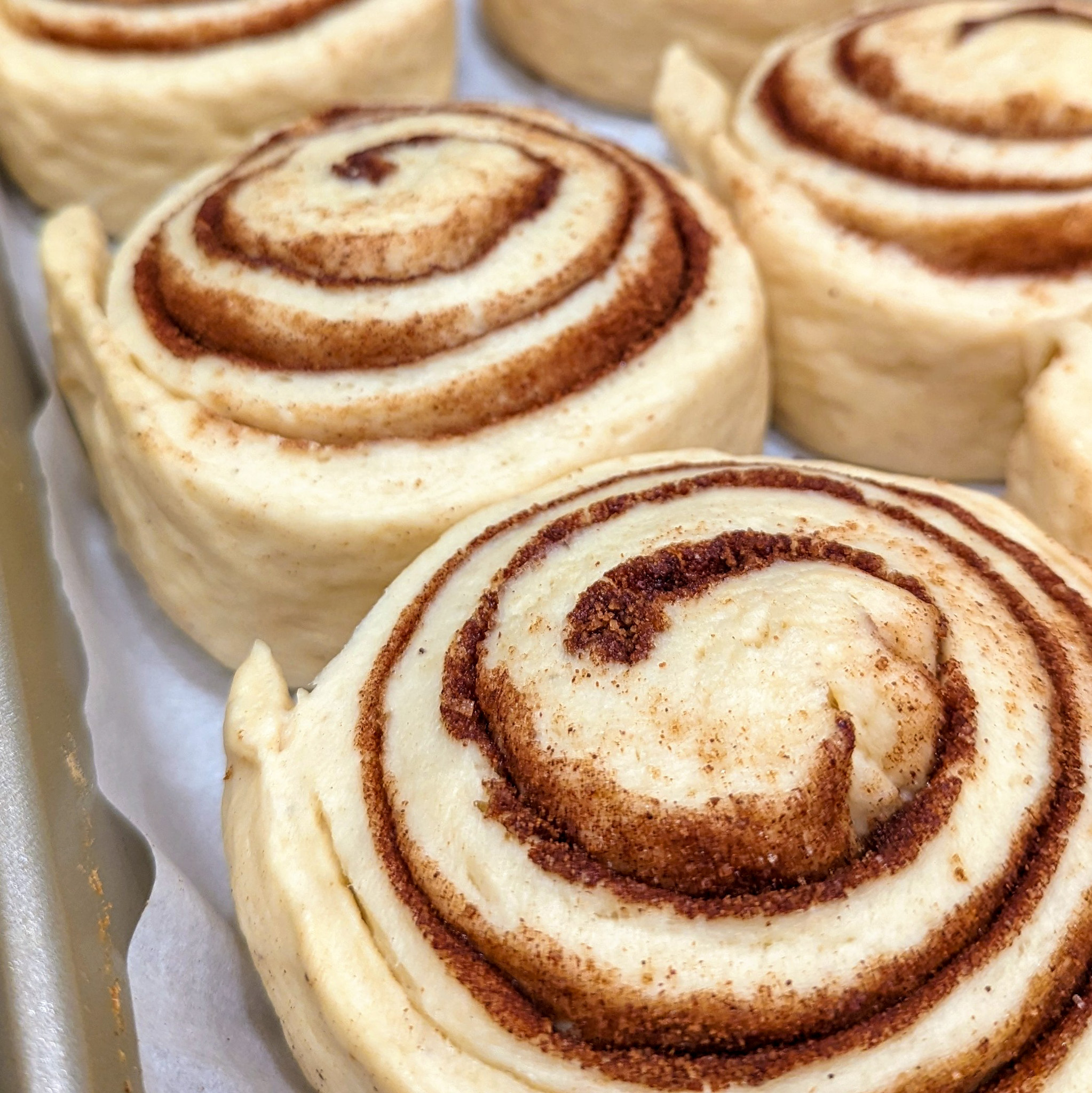 Perfectly swirled unbaked rolls